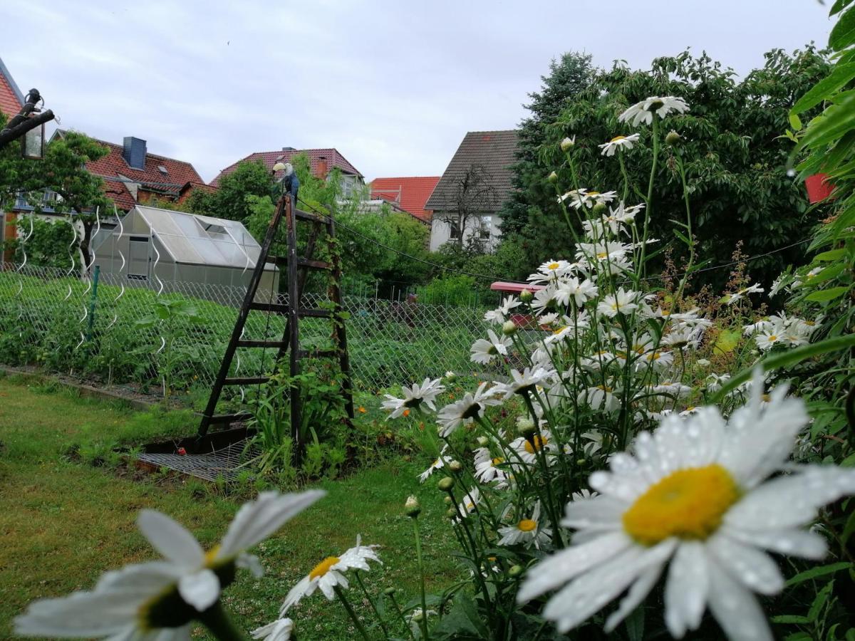 Apartment B1 - Barrierefreie In Wernigerode, Ideal Fuer Senioren Und Behinderte Menschen Wernigerode