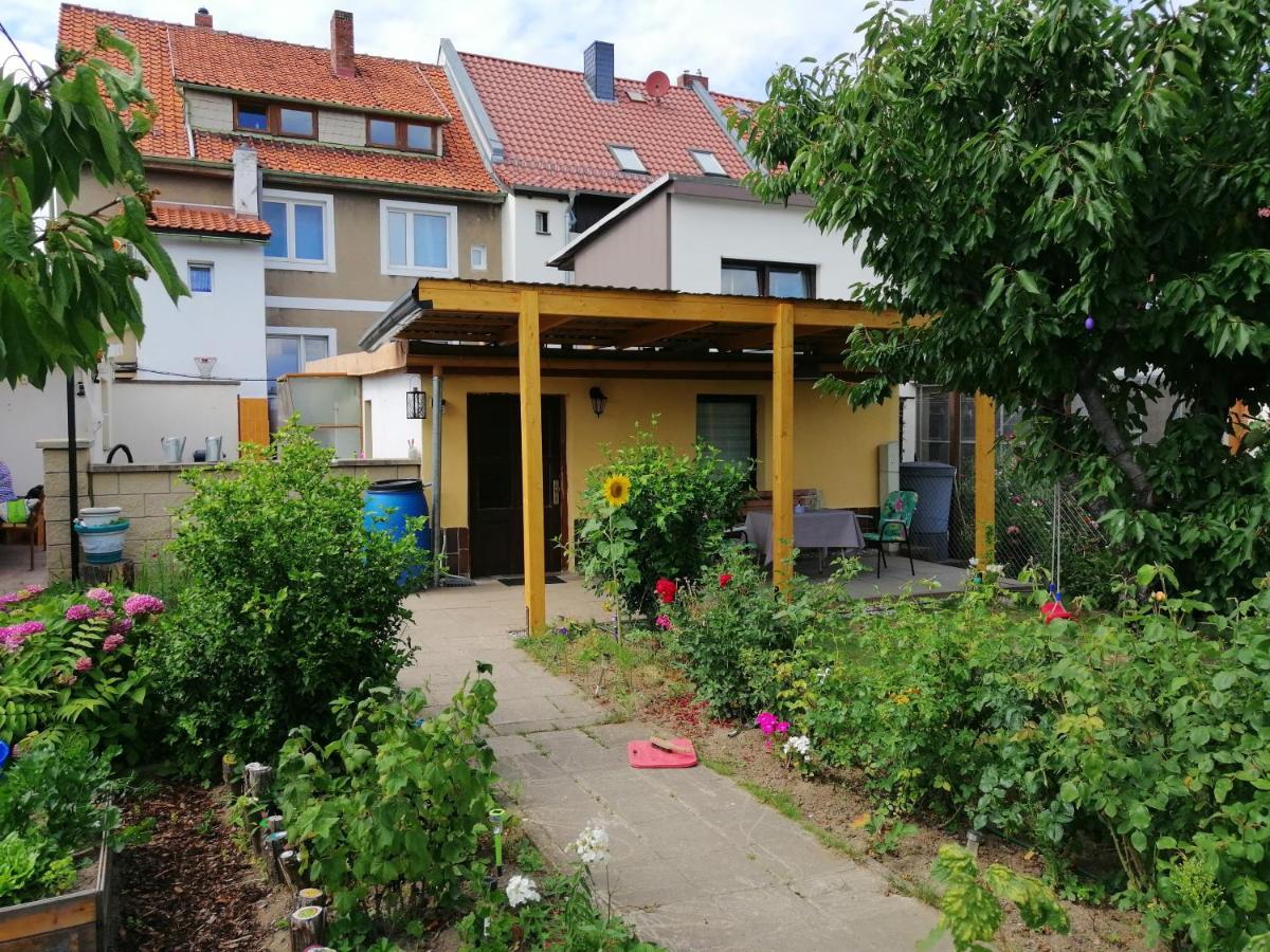 Apartment B1 - Barrierefreie In Wernigerode, Ideal Fuer Senioren Und Behinderte Menschen *